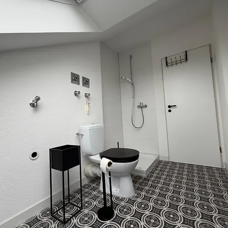 Modernes Dachgeschossapartment In Zentrum Singen