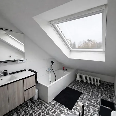 Modernes Dachgeschossapartment In Zentrum *